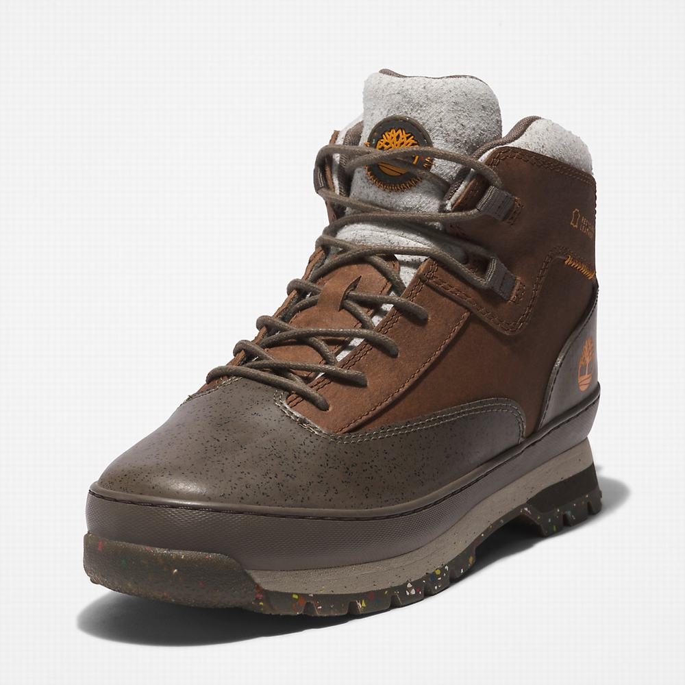 Pánské Trekové Boty Timberland Timbercycle EK+ Hnědé | TI82749-803