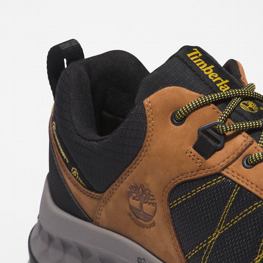 Pánské Trekové Boty Timberland Trailquest Waterproof Žluté Černé | TI23805-534