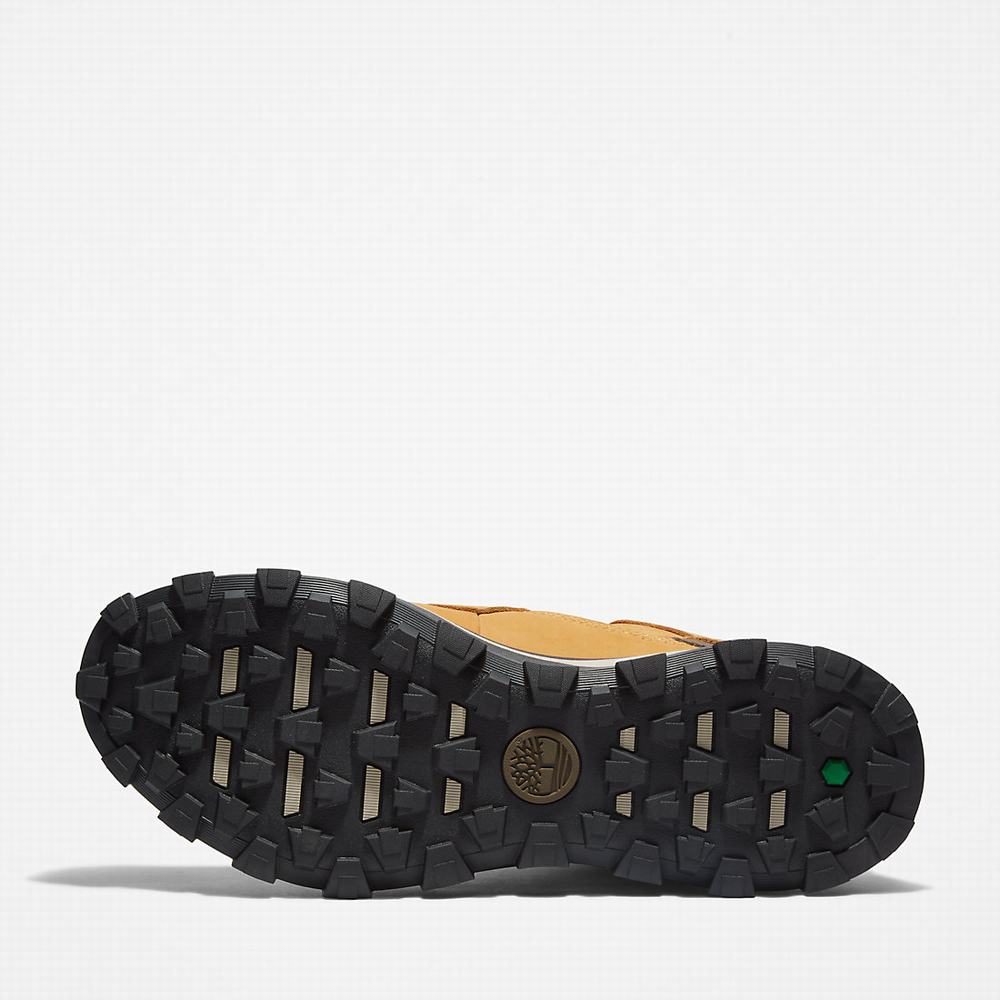Pánské Trekové Boty Timberland Treeline Hiker Žluté | TI52908-476