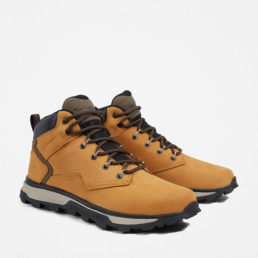 Pánské Trekové Boty Timberland Treeline Hiker Žluté | TI52908-476