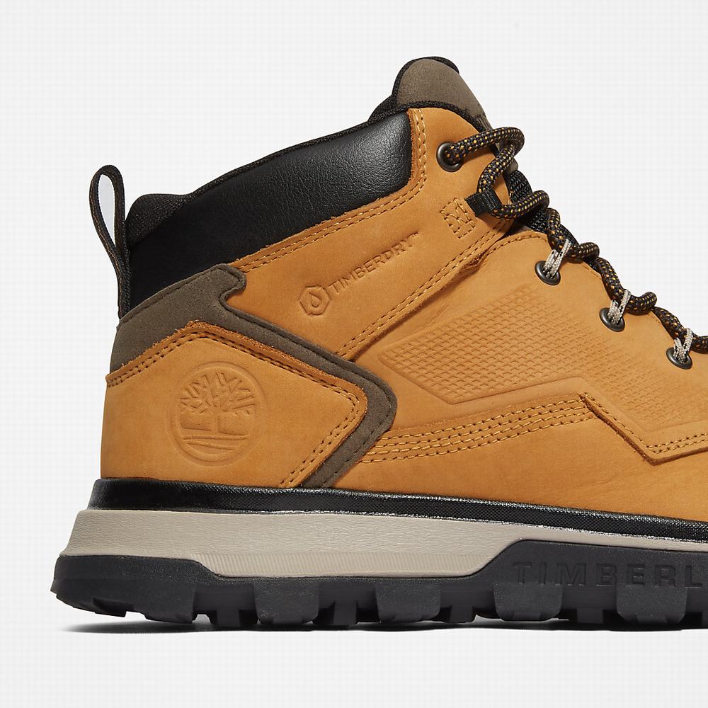 Pánské Trekové Boty Timberland Treeline Hiker Žluté | TI52908-476