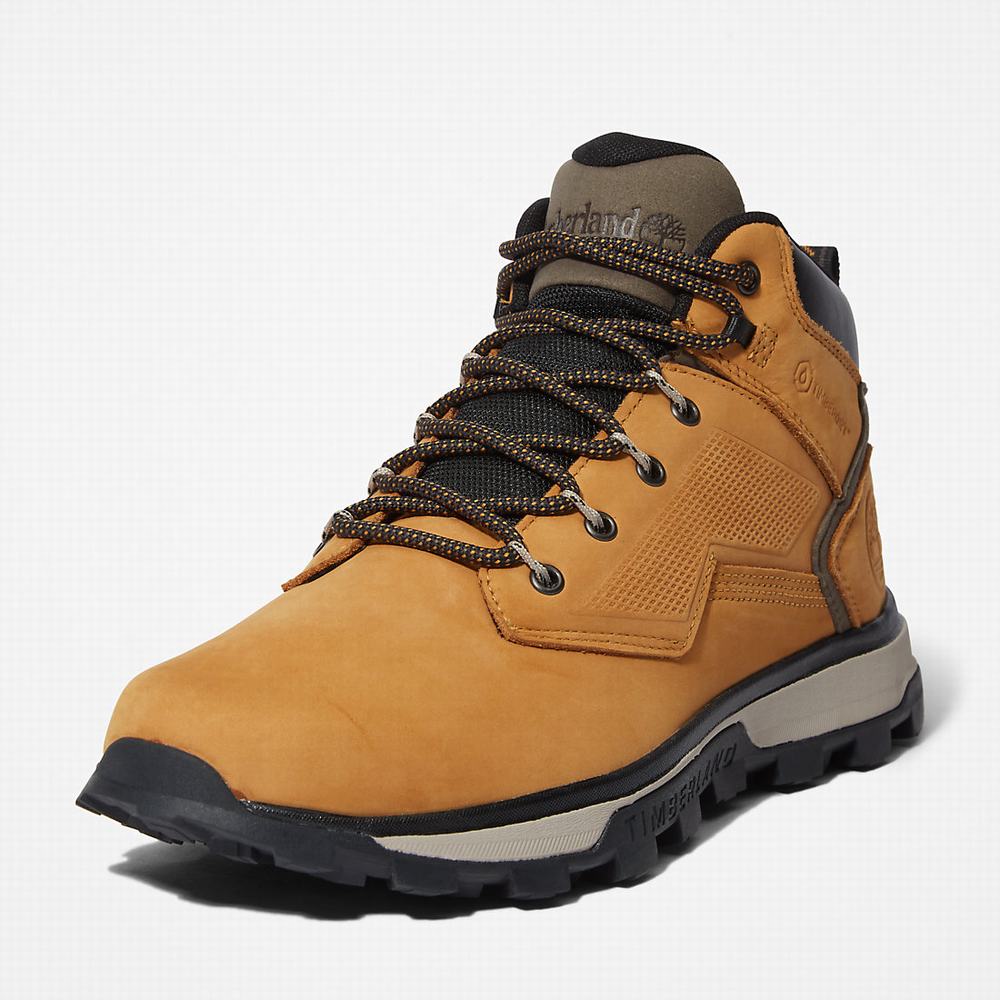 Pánské Trekové Boty Timberland Treeline Hiker Žluté | TI52908-476