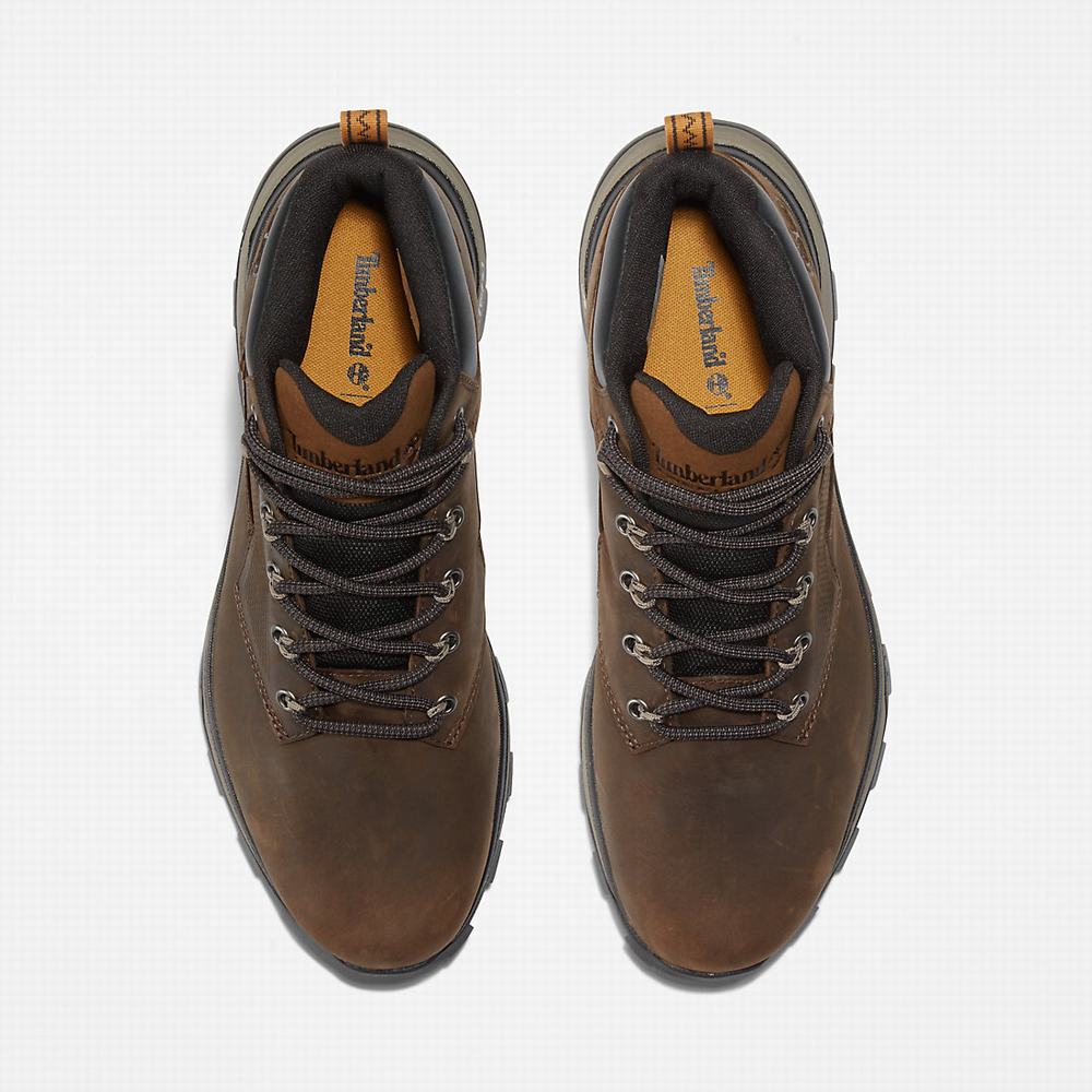 Pánské Trekové Boty Timberland Treeline Hiker Tmavě Hnědé | TI89431-137
