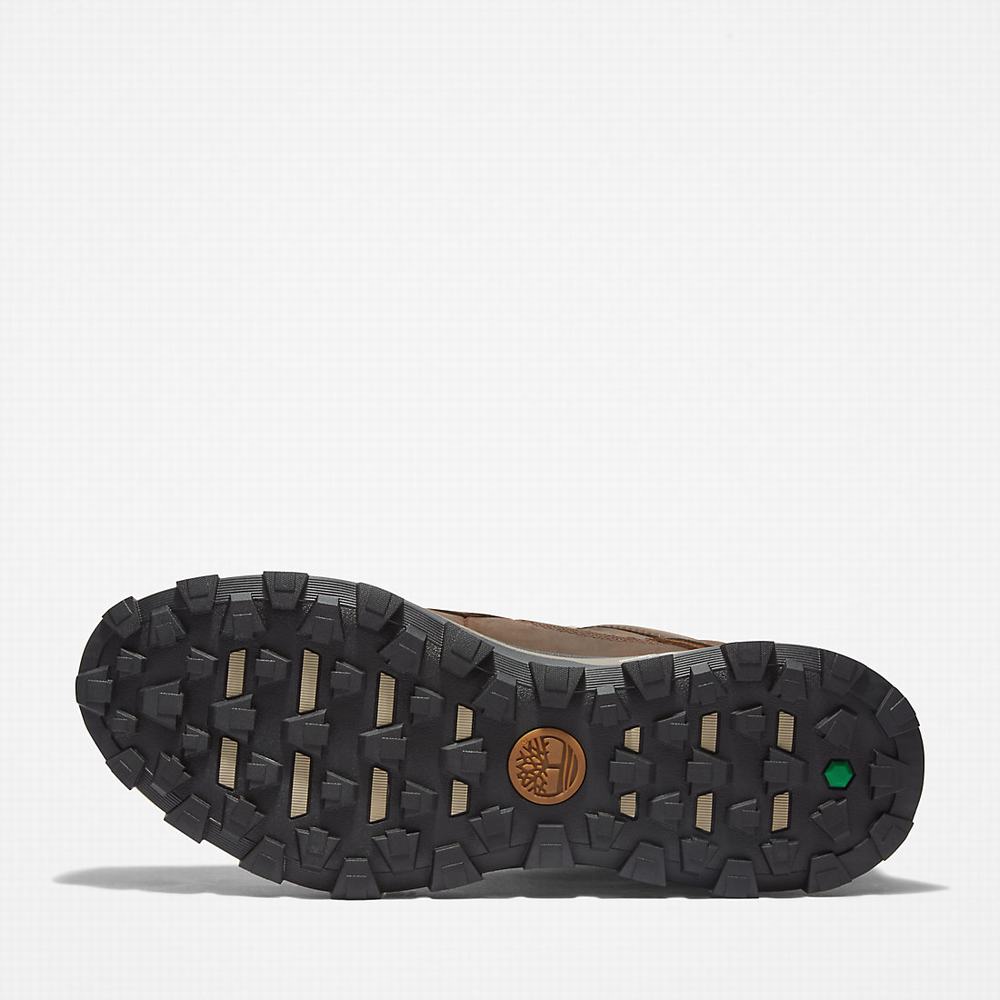 Pánské Trekové Boty Timberland Treeline Hiker Tmavě Hnědé | TI89431-137