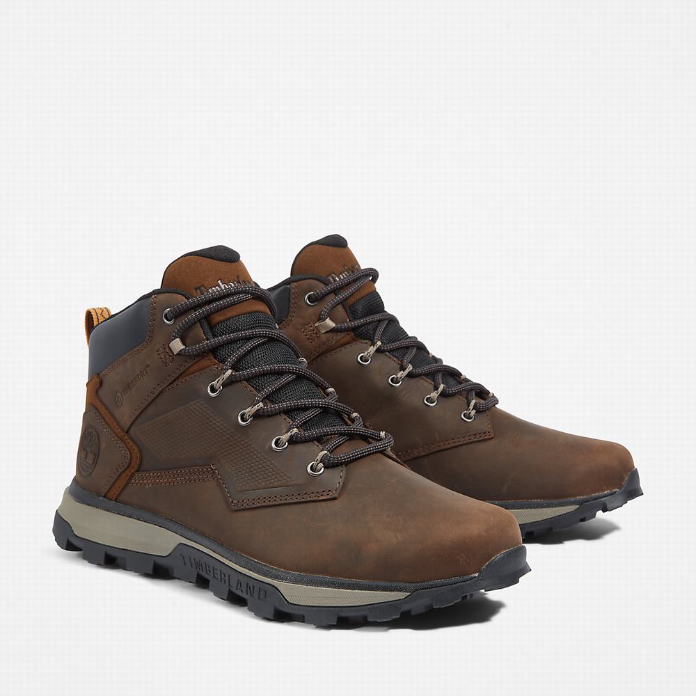 Pánské Trekové Boty Timberland Treeline Hiker Tmavě Hnědé | TI89431-137