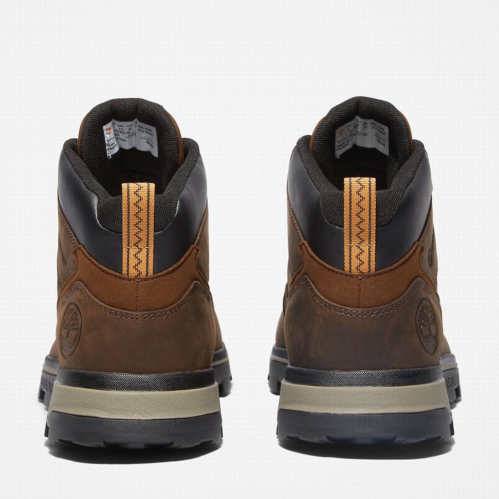 Pánské Trekové Boty Timberland Treeline Hiker Tmavě Hnědé | TI89431-137