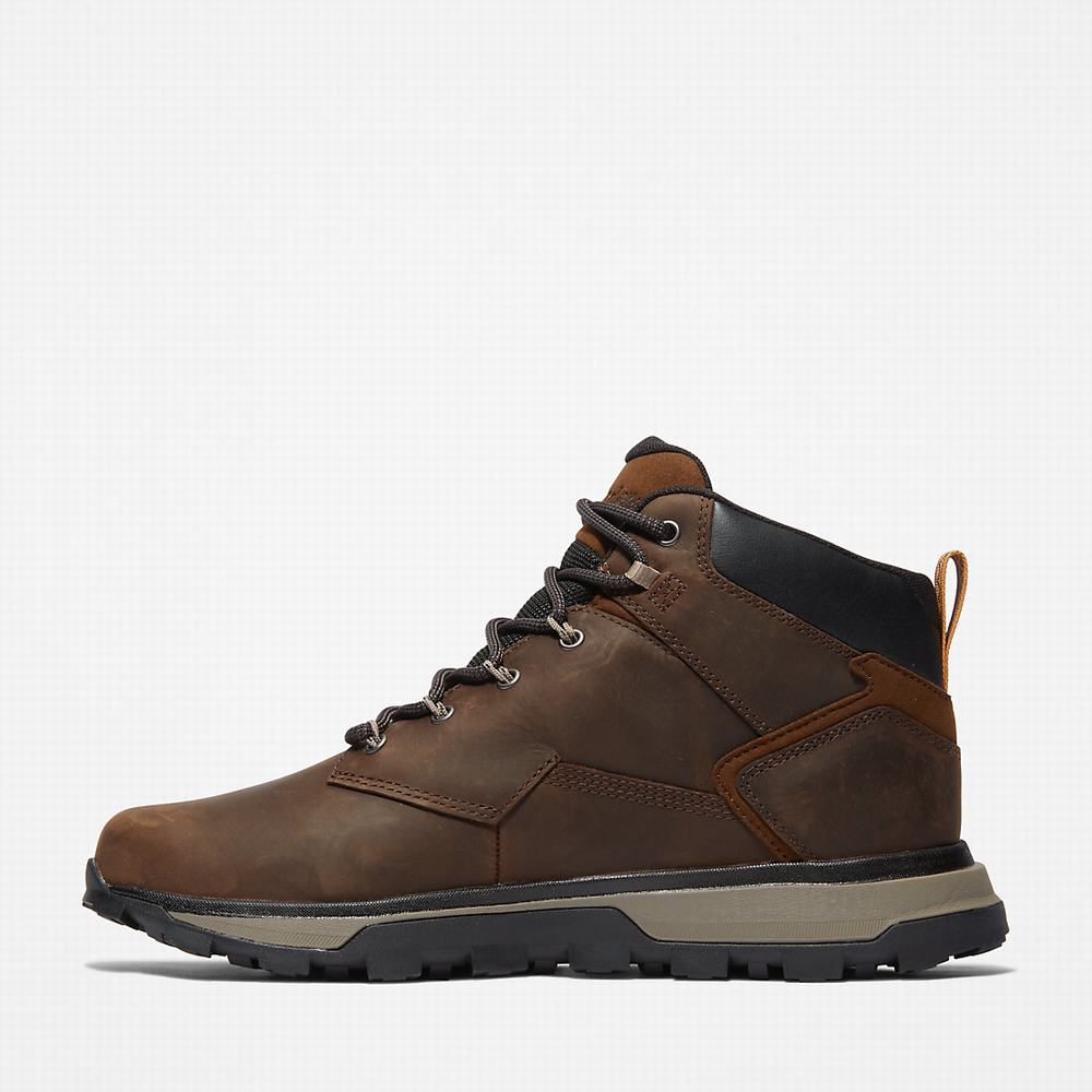 Pánské Trekové Boty Timberland Treeline Hiker Tmavě Hnědé | TI89431-137