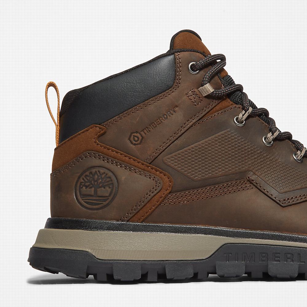 Pánské Trekové Boty Timberland Treeline Hiker Tmavě Hnědé | TI89431-137