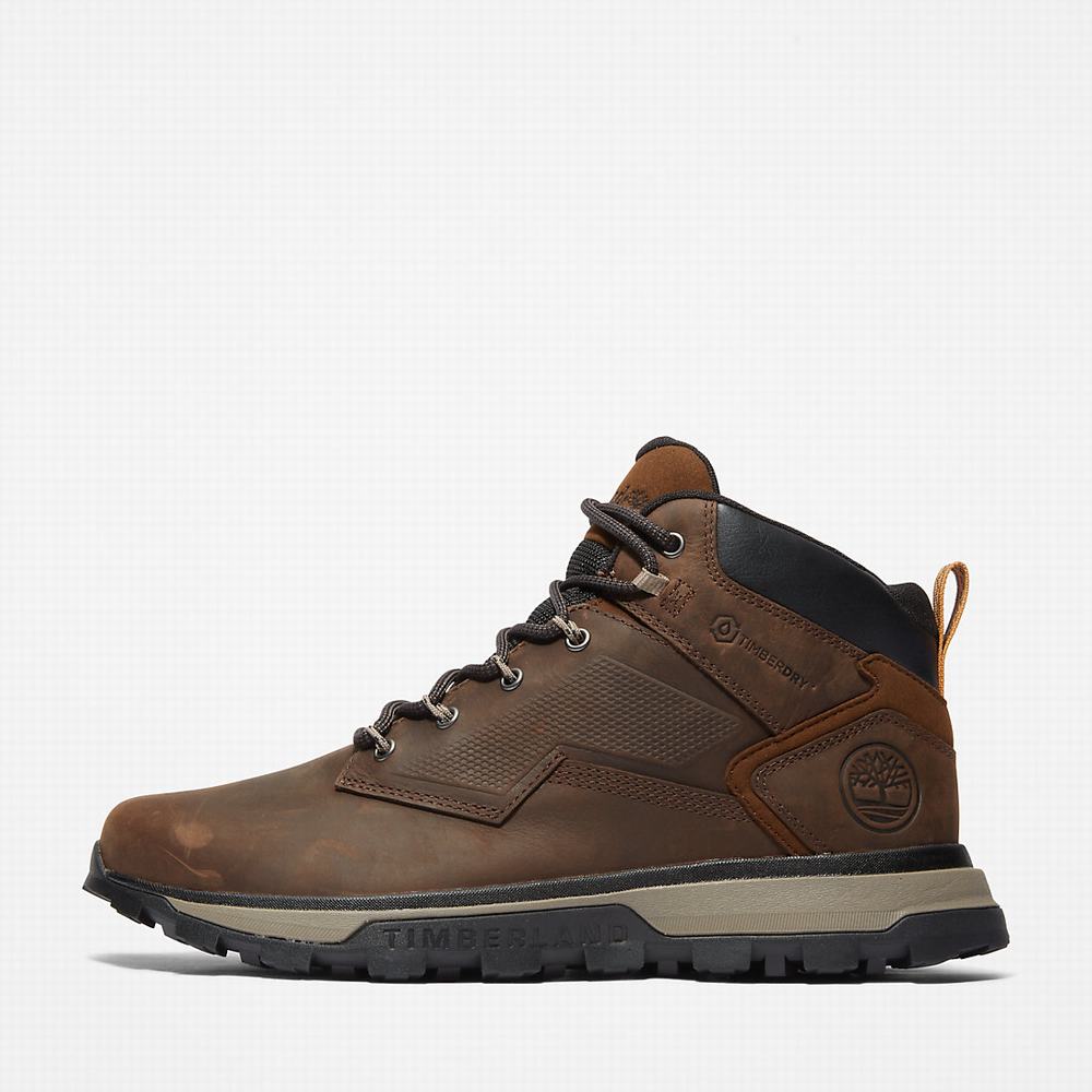 Pánské Trekové Boty Timberland Treeline Hiker Tmavě Hnědé | TI89431-137
