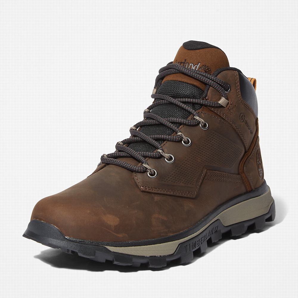 Pánské Trekové Boty Timberland Treeline Hiker Tmavě Hnědé | TI89431-137