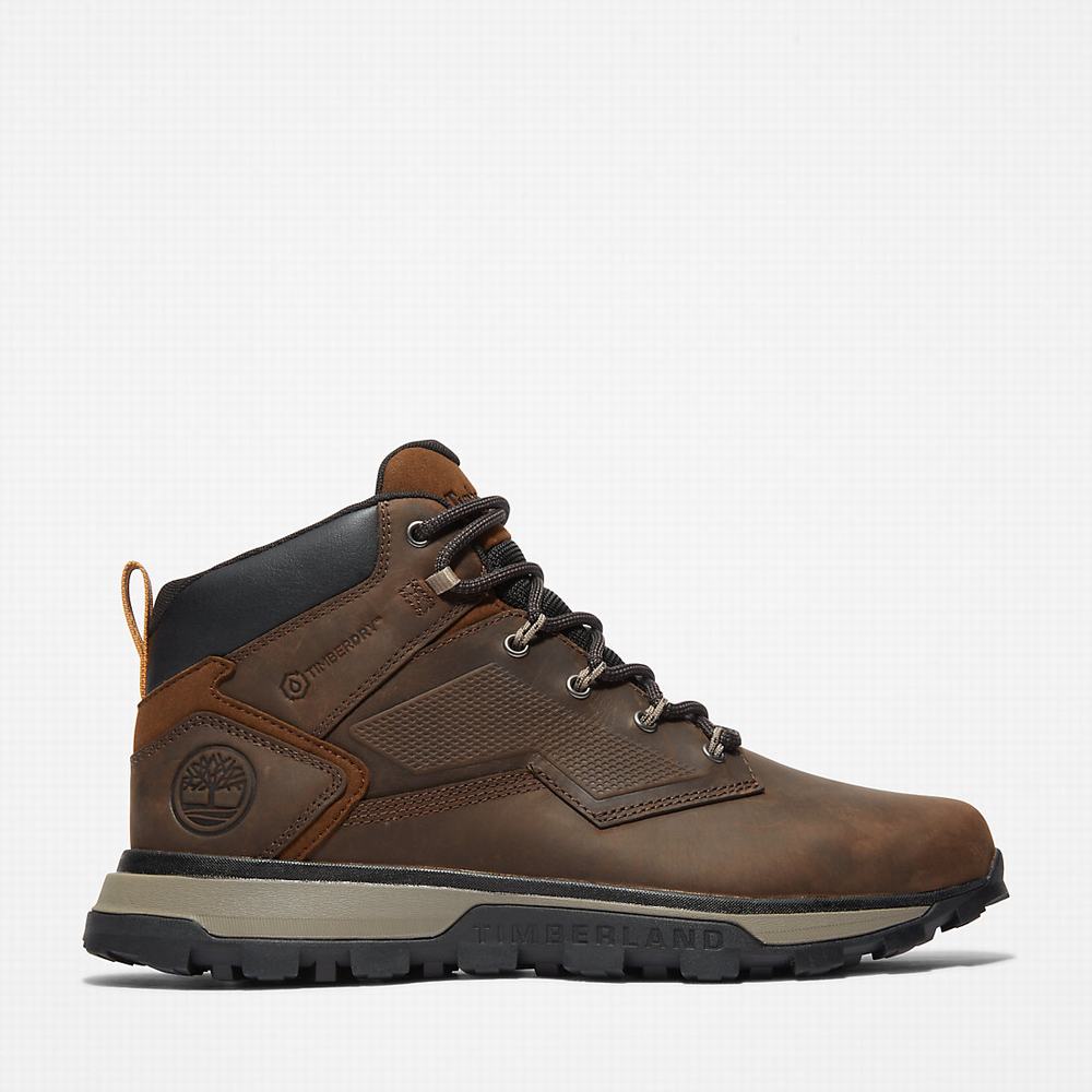 Pánské Trekové Boty Timberland Treeline Hiker Tmavě Hnědé | TI89431-137