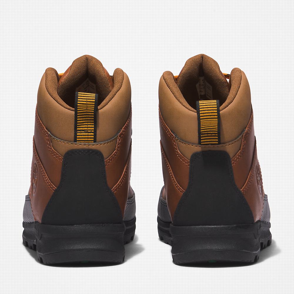 Pánské Trekové Boty Timberland World Hiker Hnědé | TI17085-875