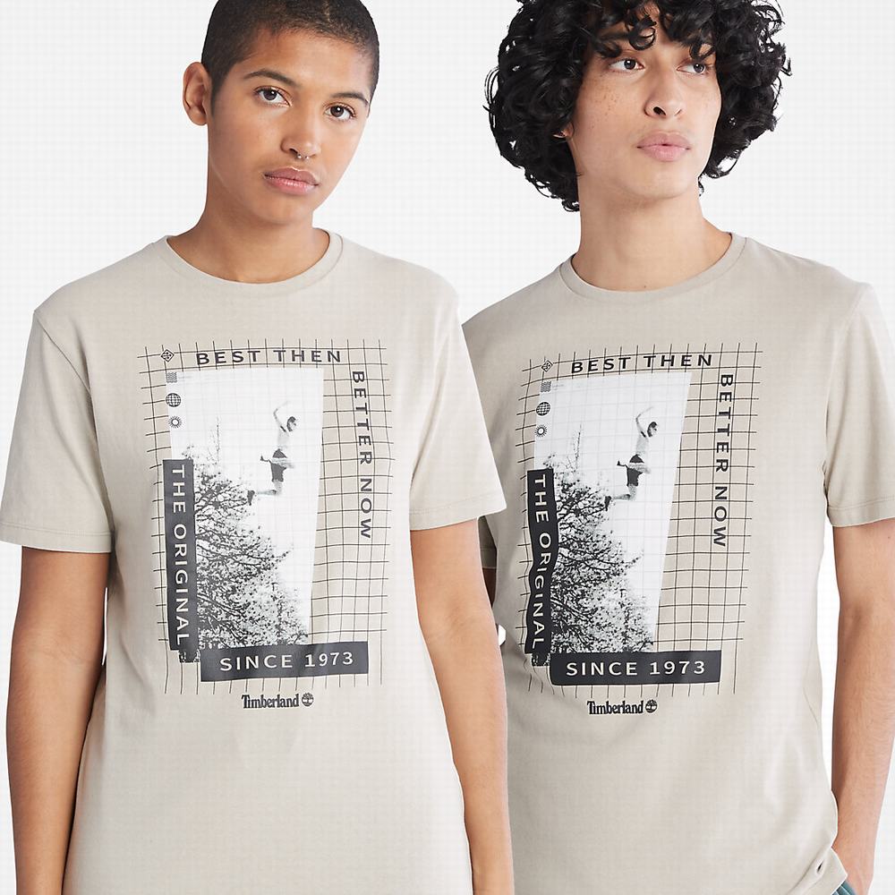 Pánské Tričko Timberland All Gender Heavyweight Front-Graphic T-Shirt Světle Šedé | TI13709-874