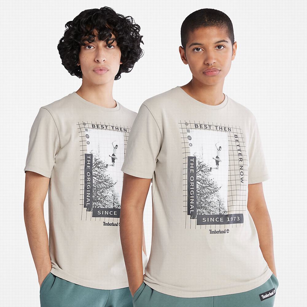 Pánské Tričko Timberland All Gender Heavyweight Front-Graphic T-Shirt Světle Šedé | TI13709-874