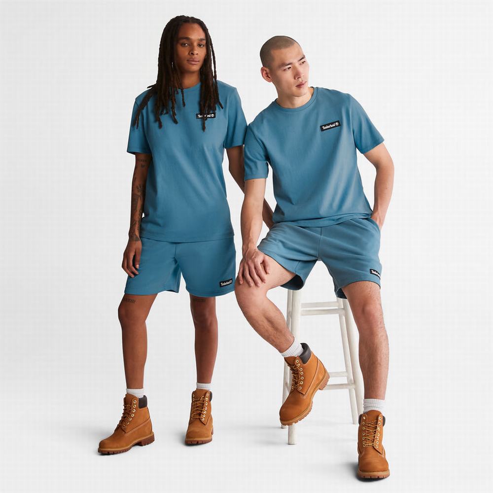 Pánské Tričko Timberland All Gender Heavyweight Logo T-Shirt Blankyt | TI18756-426