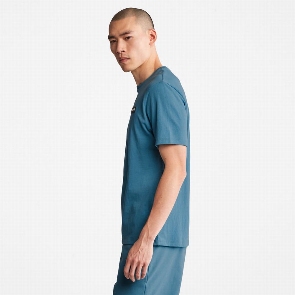 Pánské Tričko Timberland All Gender Heavyweight Logo T-Shirt Blankyt | TI18756-426