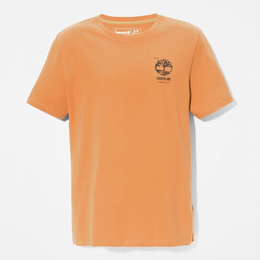 Pánské Tričko Timberland Back-Graphic T-Shirt Hnědé | TI14675-758