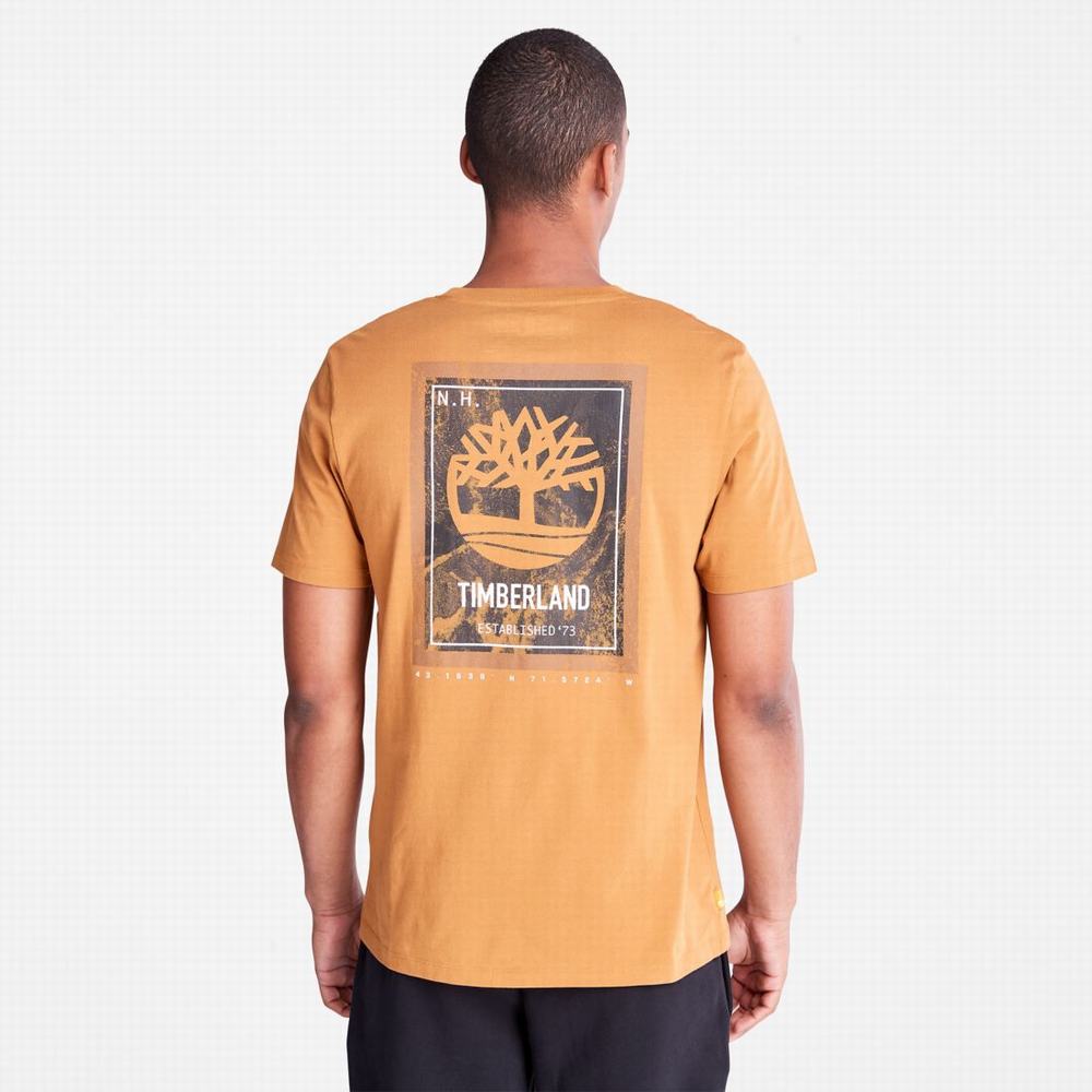 Pánské Tričko Timberland Back-Graphic T-Shirt Hnědé | TI14675-758