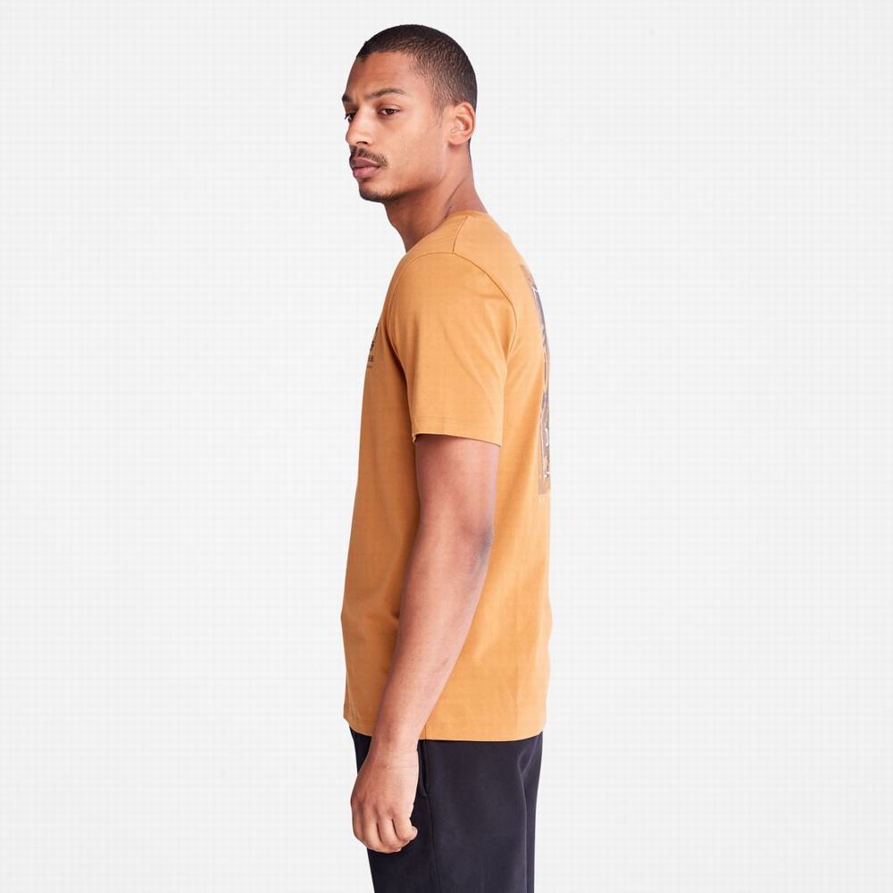 Pánské Tričko Timberland Back-Graphic T-Shirt Hnědé | TI14675-758