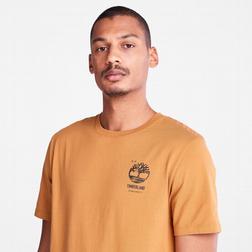 Pánské Tričko Timberland Back-Graphic T-Shirt Hnědé | TI14675-758