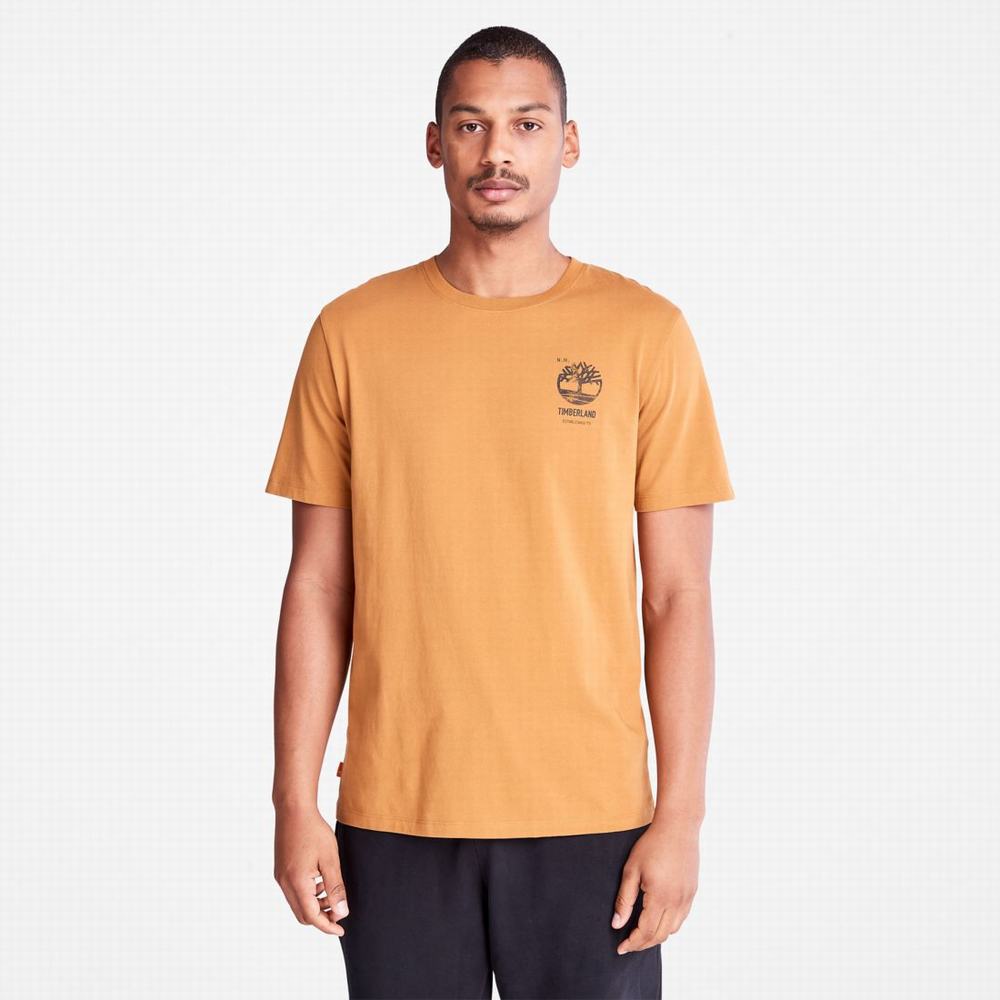 Pánské Tričko Timberland Back-Graphic T-Shirt Hnědé | TI14675-758
