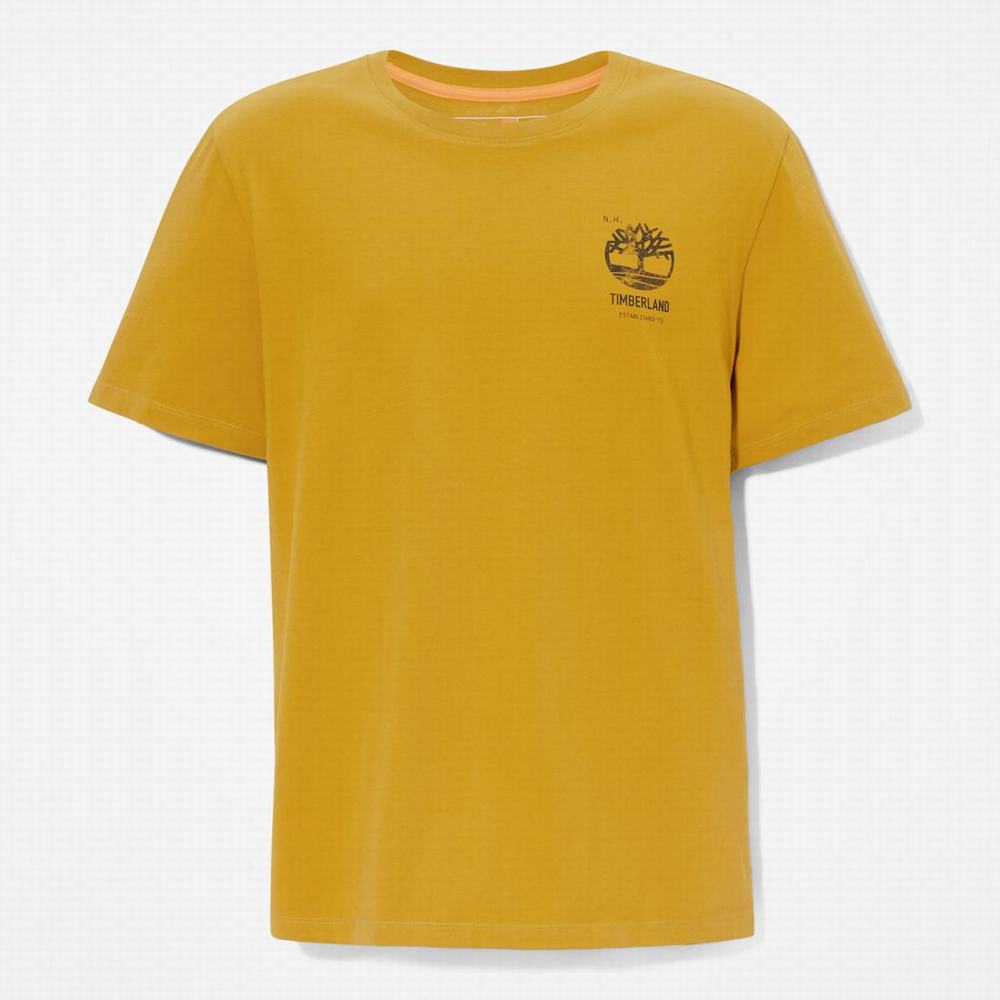 Pánské Tričko Timberland Back-Graphic T-Shirt Hořčice | TI61047-321