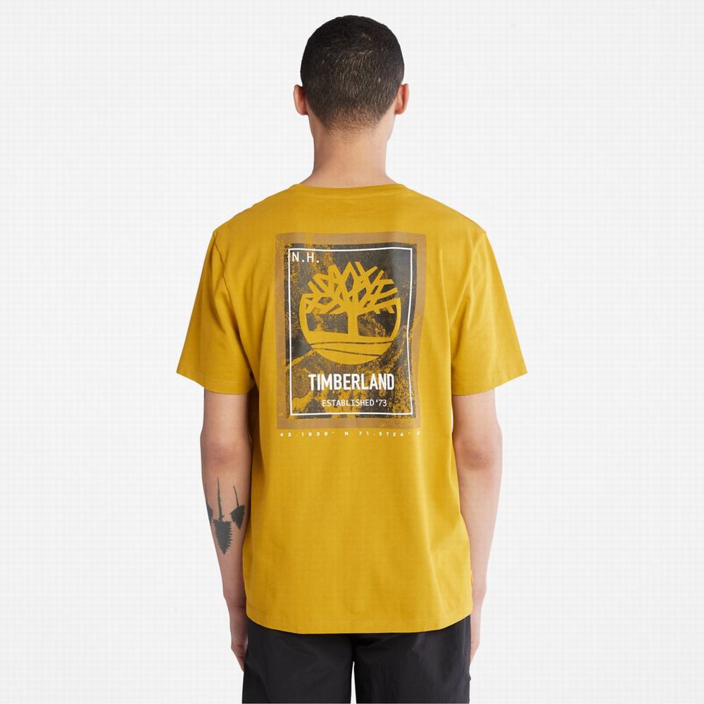 Pánské Tričko Timberland Back-Graphic T-Shirt Hořčice | TI61047-321