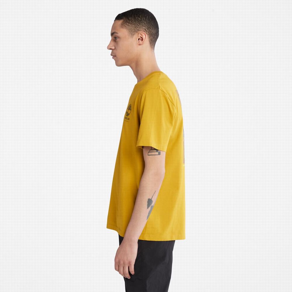 Pánské Tričko Timberland Back-Graphic T-Shirt Hořčice | TI61047-321