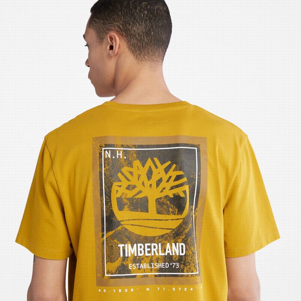 Pánské Tričko Timberland Back-Graphic T-Shirt Hořčice | TI61047-321