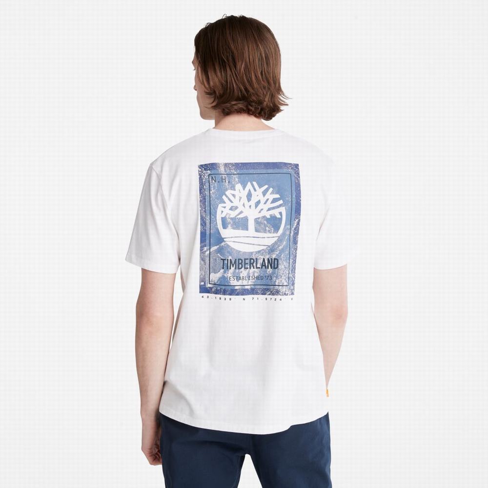 Pánské Tričko Timberland Back-Graphic T-Shirt Bílé | TI80726-248