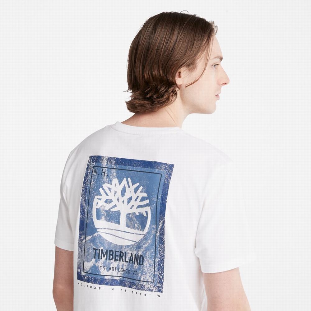 Pánské Tričko Timberland Back-Graphic T-Shirt Bílé | TI80726-248