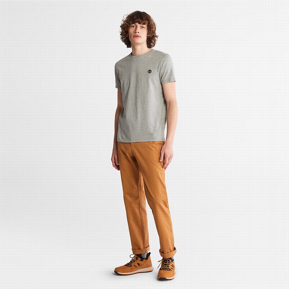 Pánské Tričko Timberland Bavlněné Logo T-Shirt Šedé | TI53087-410