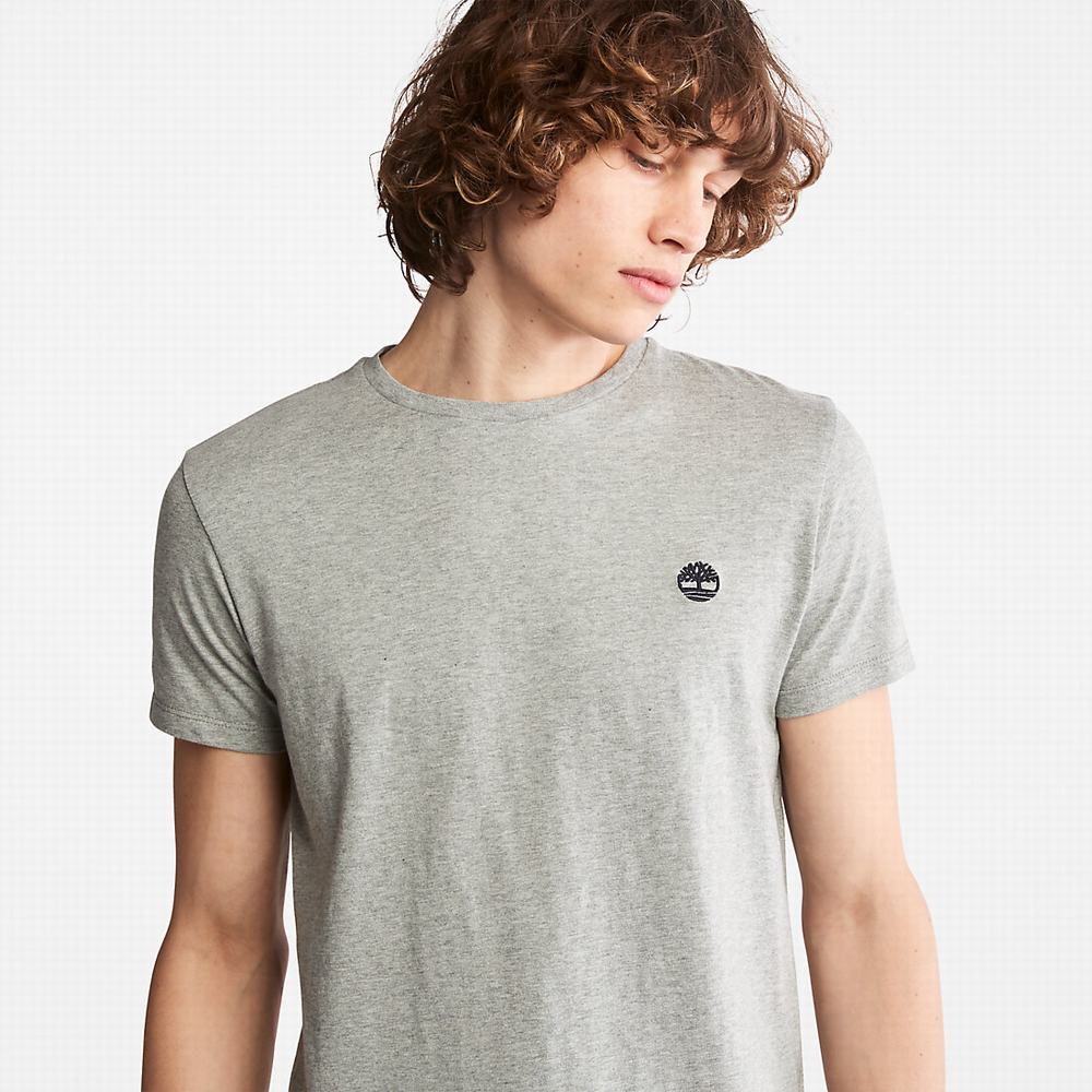 Pánské Tričko Timberland Bavlněné Logo T-Shirt Šedé | TI53087-410