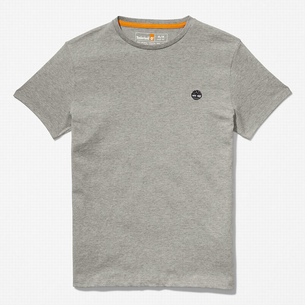 Pánské Tričko Timberland Bavlněné Logo T-Shirt Šedé | TI53087-410