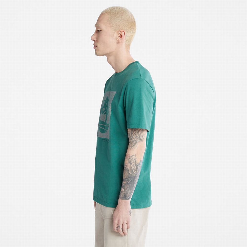 Pánské Tričko Timberland Dotted Tree-logo T-Shirt Zelene | TI38509-613