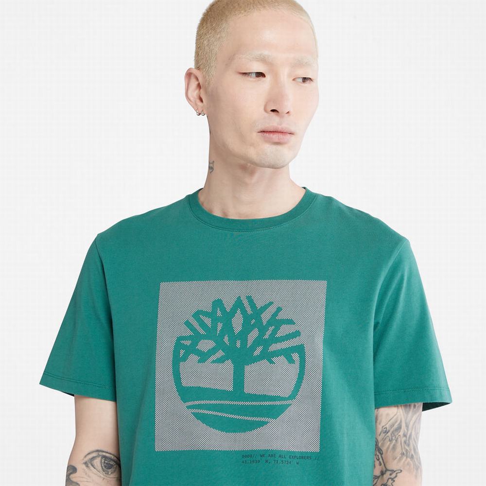 Pánské Tričko Timberland Dotted Tree-logo T-Shirt Zelene | TI38509-613