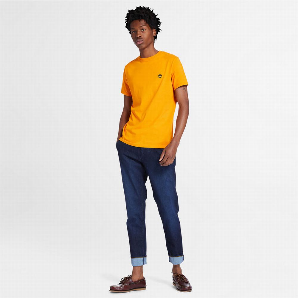 Pánské Tričko Timberland Dunstan River Crew Tee Oranžové | TI62058-587