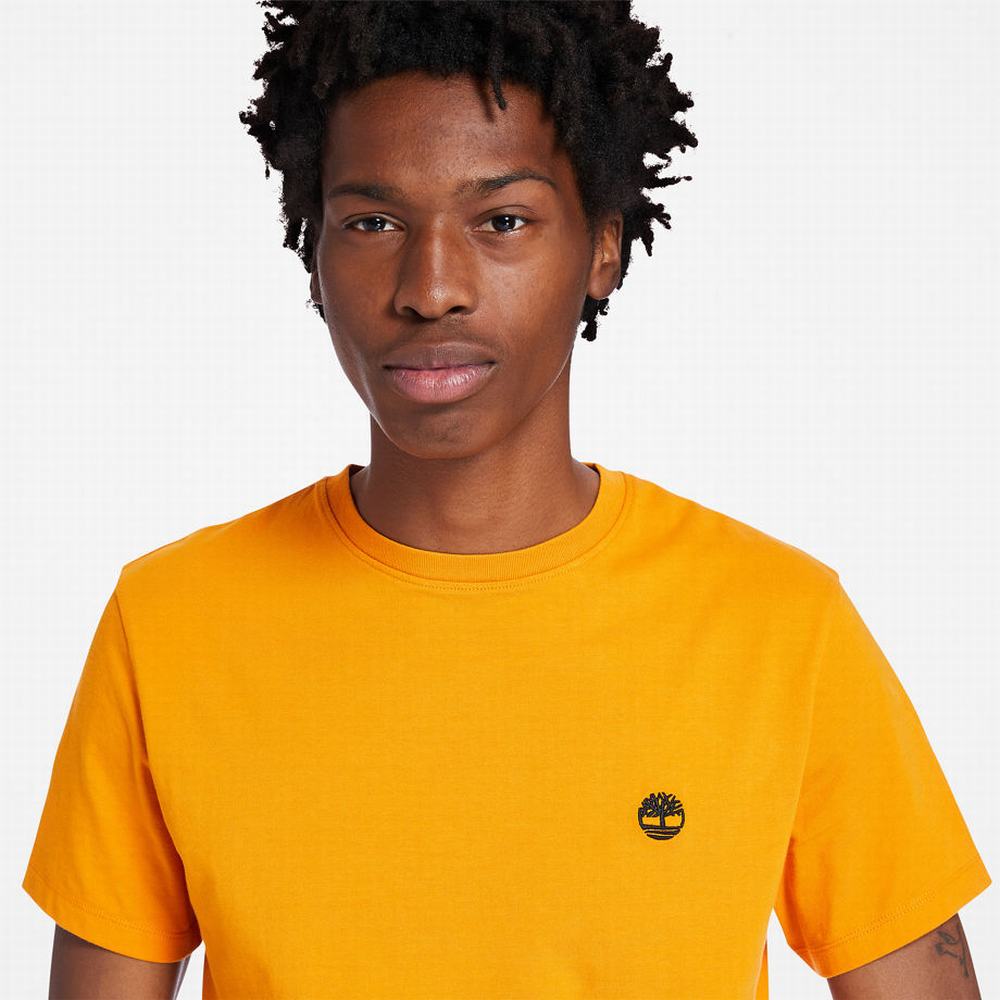 Pánské Tričko Timberland Dunstan River Crew Tee Oranžové | TI62058-587