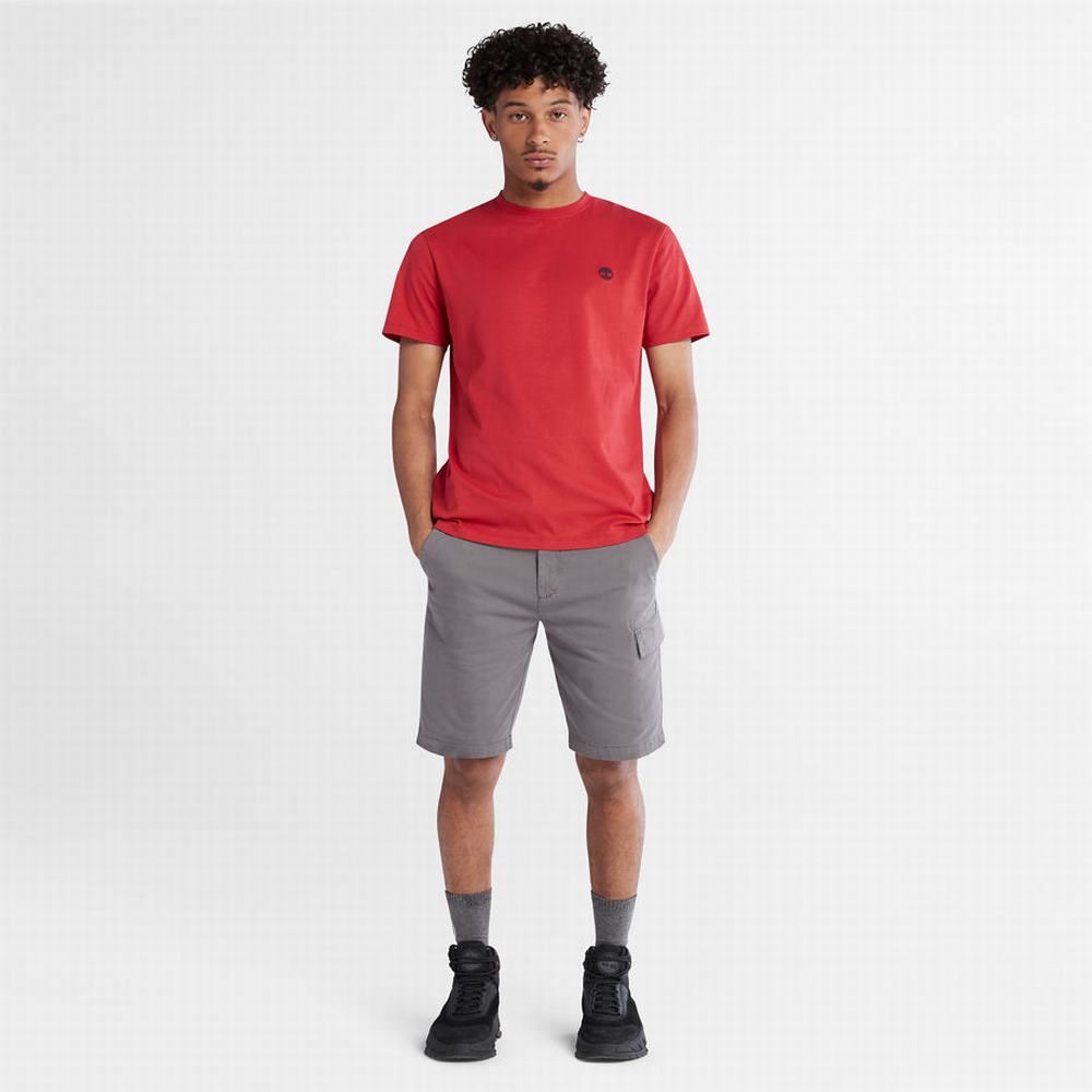 Pánské Tričko Timberland Dunstan River Crew T-Shirt Červené | TI82730-159