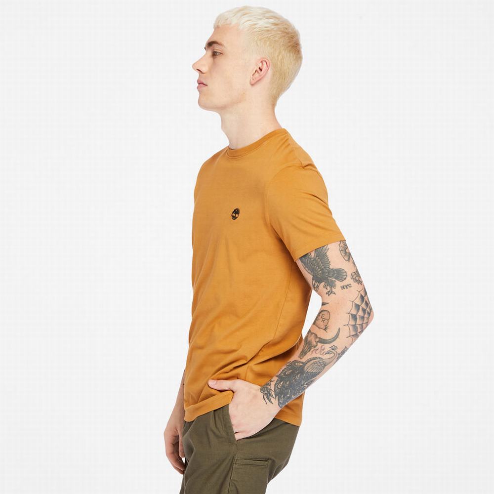 Pánské Tričko Timberland Dunstan River Crew Tee Žluté | TI86243-217