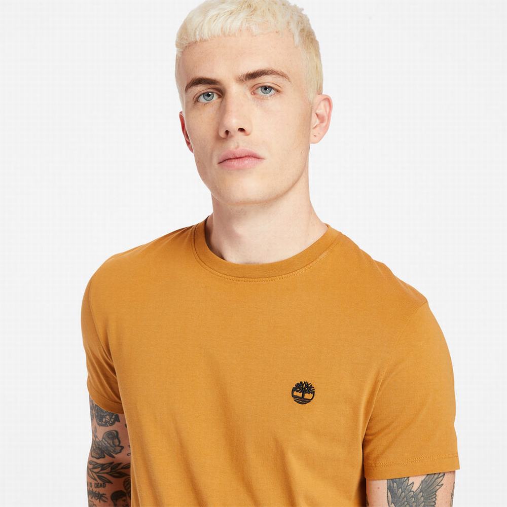 Pánské Tričko Timberland Dunstan River Crew Tee Žluté | TI86243-217