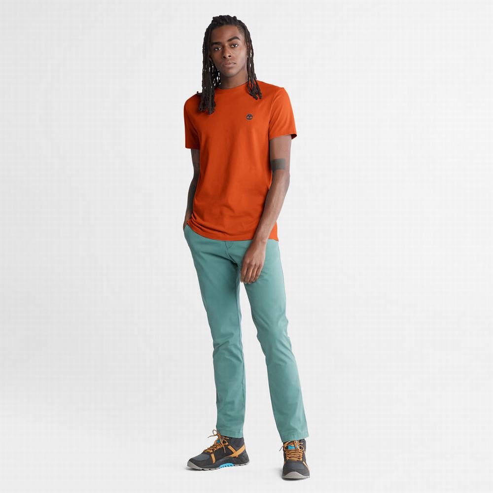 Pánské Tričko Timberland Dunstan River T-Shirt Oranžové | TI09152-157
