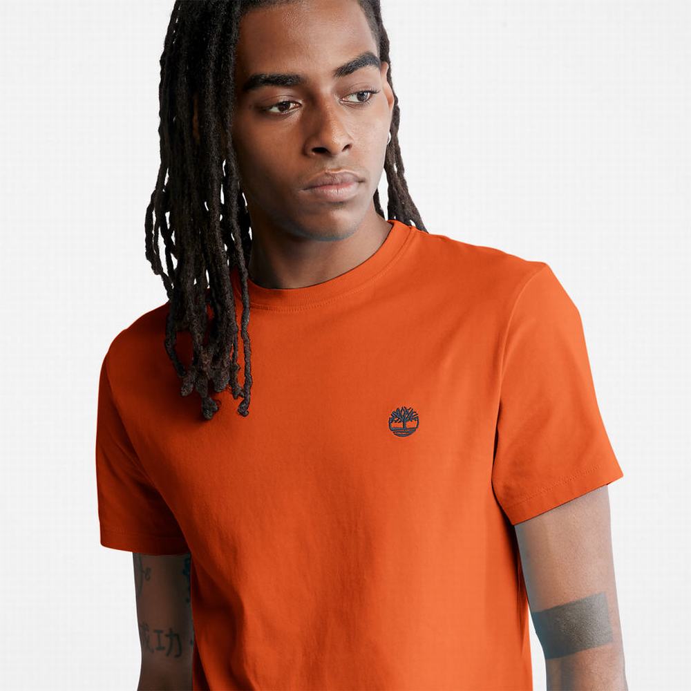 Pánské Tričko Timberland Dunstan River T-Shirt Oranžové | TI09152-157