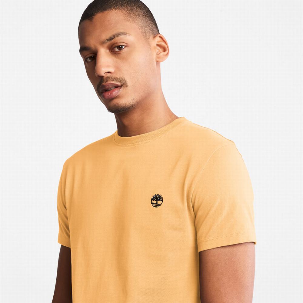 Pánské Tričko Timberland Dunstan River T-Shirt Žluté | TI31798-156