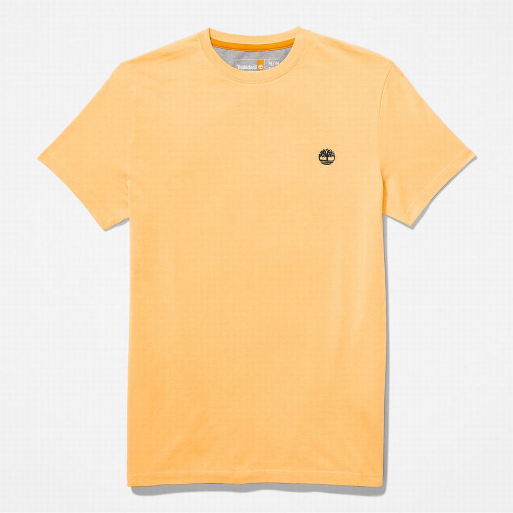 Pánské Tričko Timberland Dunstan River T-Shirt Žluté | TI31798-156