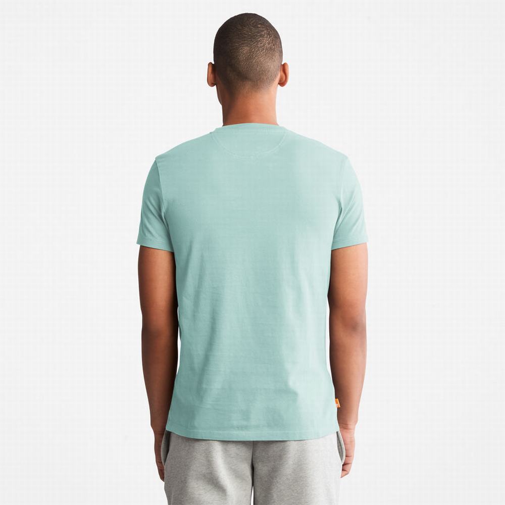 Pánské Tričko Timberland Dunstan River T-Shirt Světle Zelene | TI34287-083