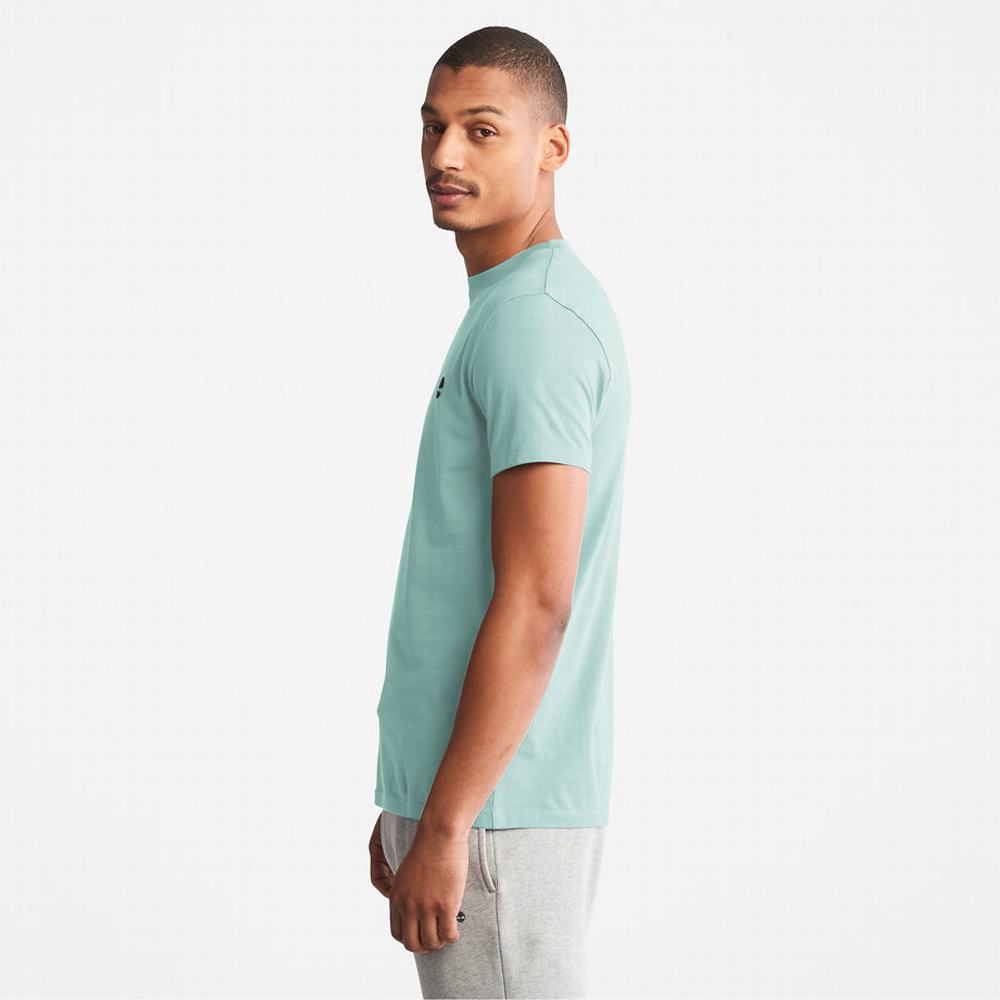 Pánské Tričko Timberland Dunstan River T-Shirt Světle Zelene | TI34287-083