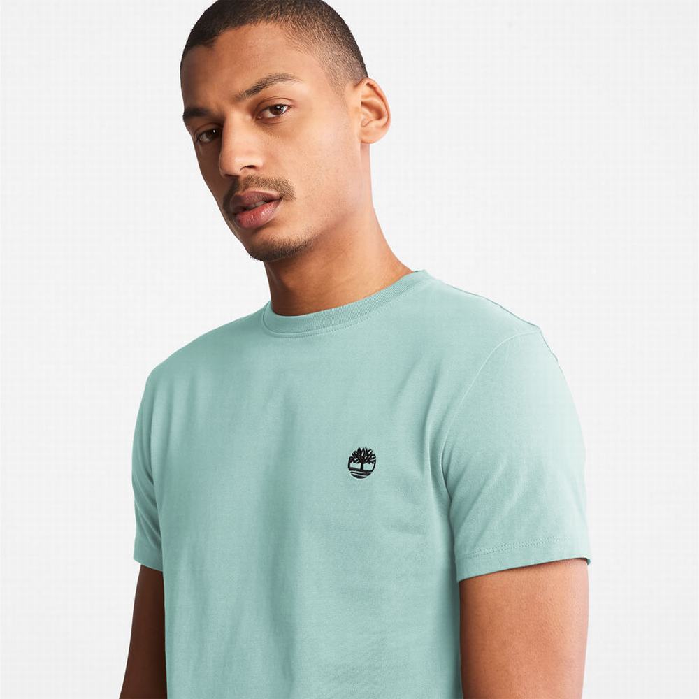 Pánské Tričko Timberland Dunstan River T-Shirt Světle Zelene | TI34287-083