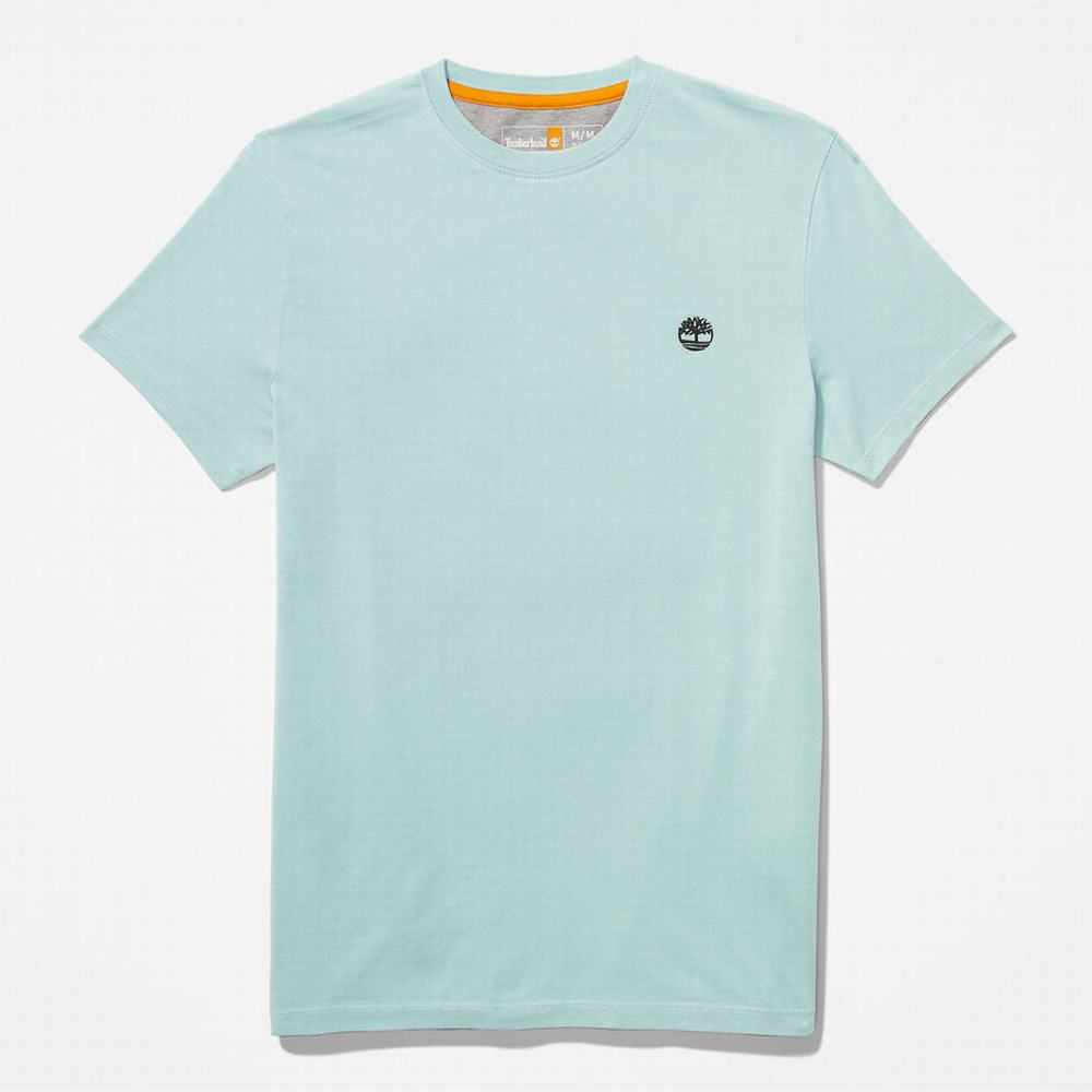 Pánské Tričko Timberland Dunstan River T-Shirt Světle Zelene | TI34287-083