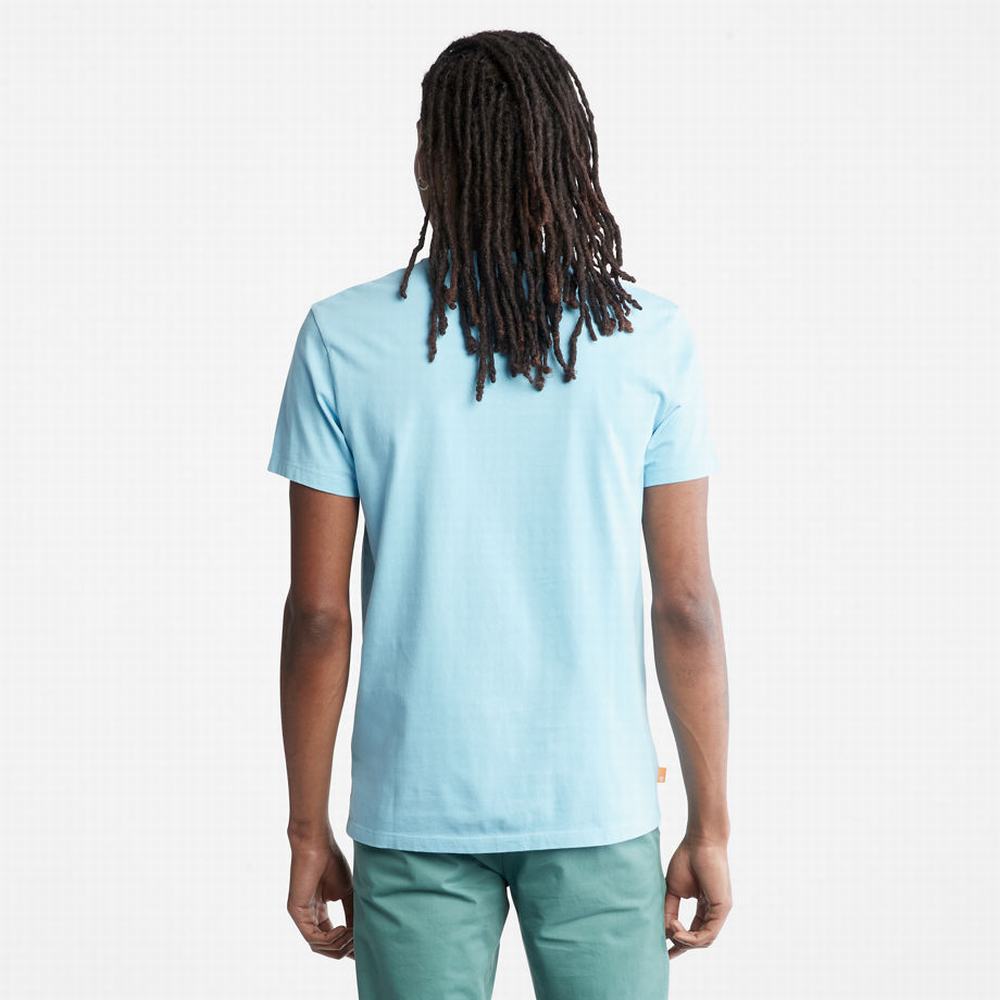 Pánské Tričko Timberland Dunstan River T-Shirt Blankyt | TI39802-013